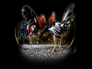 Tuyệt Chiêu Chơi Đá Gà Sabong Tại 12Bet Từ Cao Thủ