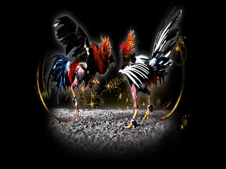 Tuyệt Chiêu Chơi Đá Gà Sabong Tại 12Bet Từ Cao Thủ