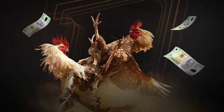 Bí Mật Thắng Lớn Từ Đá Gà 12Bet Mà Cao Thủ Không Muốn Bạn Biết